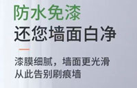 免漆膩子膏