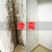 克霉王