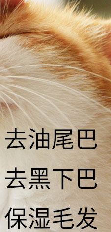 貓咪去油膏配方