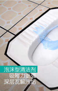 泡沫型潔廁靈
