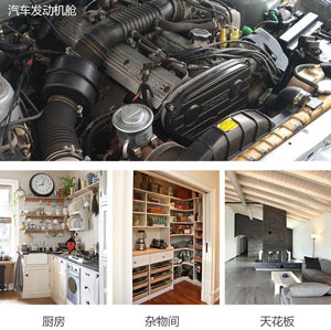 汽車發(fā)動機驅鼠噴霧配方