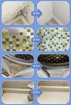 墻體除霉劑配方