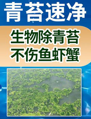 青苔凈配方