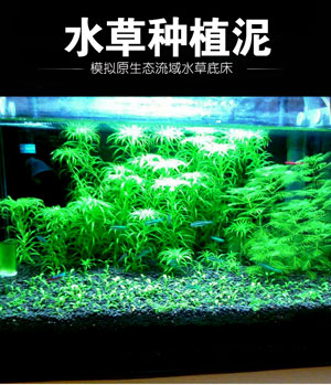 水草泥